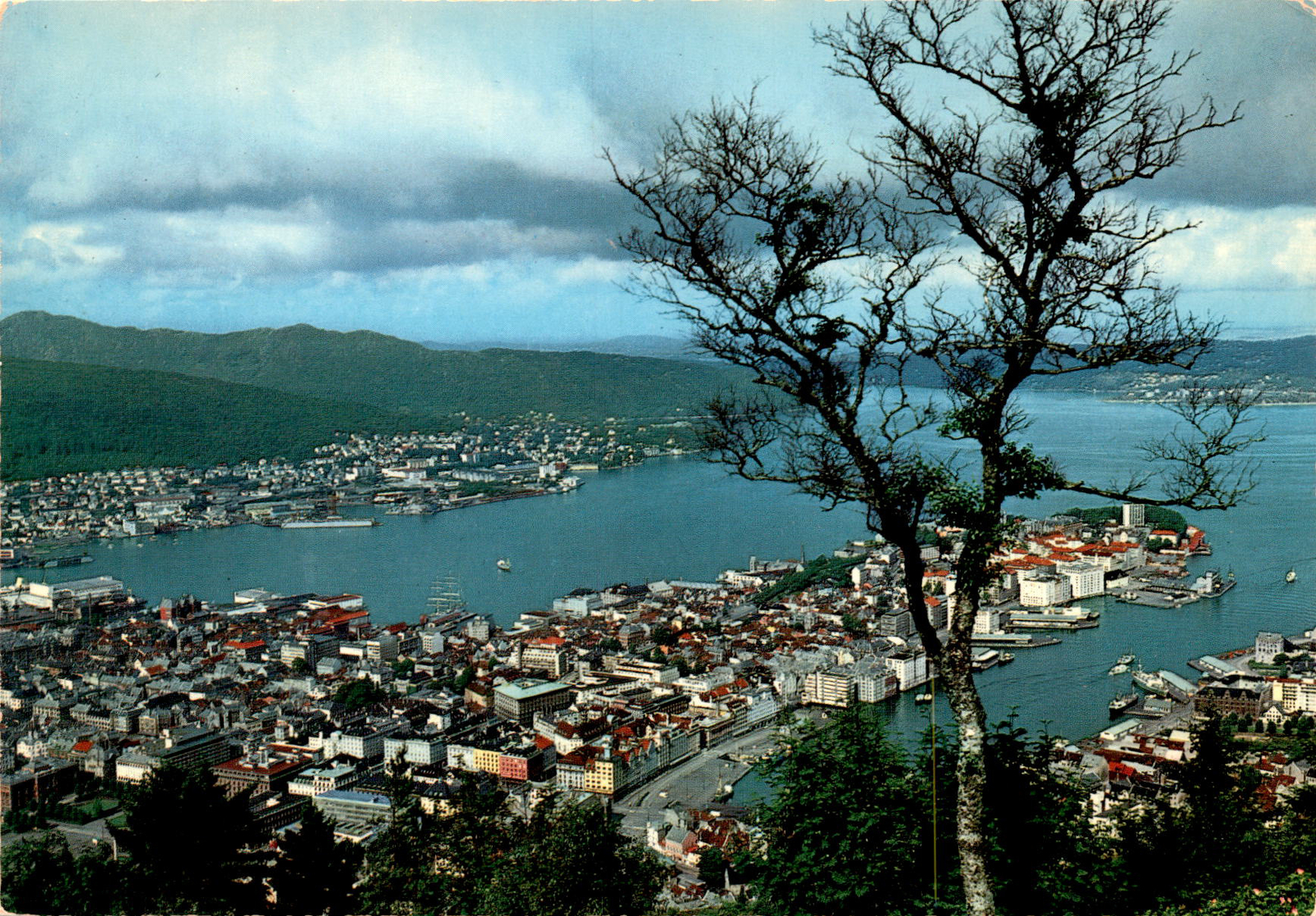 Bergen, Norway, Giovanni Trimboli, Grako Kortforlag A/S, Postcard