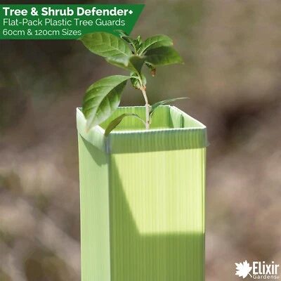 Tree Guards | Sapling & Shrub Support | Rabbit & Deer Protectors | 60cm & 120cm