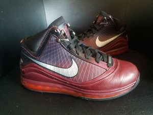 lebron shoes 2009