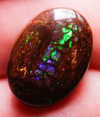 10.9ct Wood Replacement Boulder Opal, Cathedral Window, Matrix Opal, Yowah