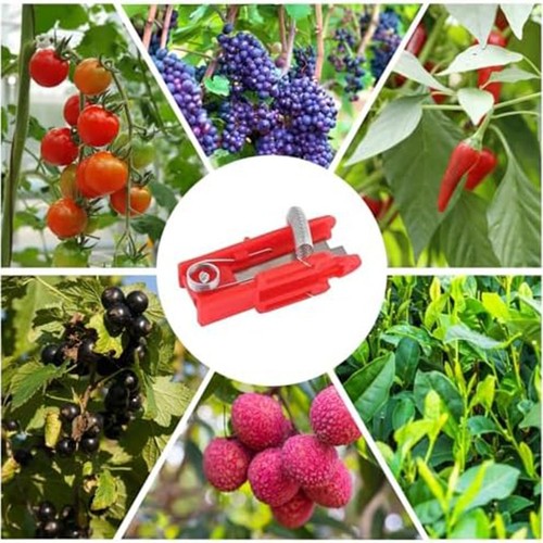 Reliable Garden Leaf Pruning and Fruit Picking Tool for Greenery Maintenance - Bild 11 von 12