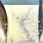 Picture 7 of 24