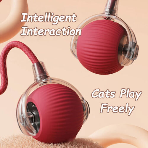 Automatischer Rollball für Katzen - Wiederaufladbares intelligentes interaktives Spielzeug, langlebig - Bild 2 von 12