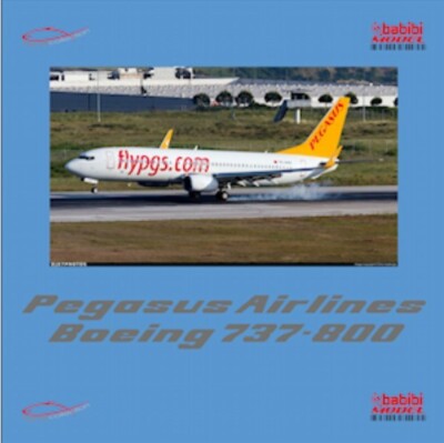 1/200 Pegasus Airlines Boeing 737-800 