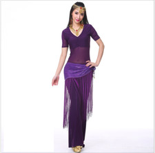 Mesh Short Sleeves Blouse Long Pants Sequins Hip Scarf 3pcs Belly Dance Costumes