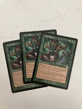 Dual Nature Prophecy Regular