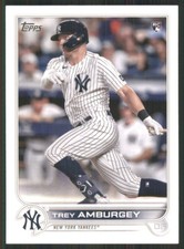 2022 Topps #263 Trey Amburgey RC New York Yankees 45911