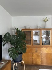 Mid-Century Moderne Esszimmerschrank / Küchenschrank /Vitrine 1950er Jahre