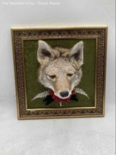 Fox Head Wall-Mounted Taxidermy Coyote-Style Decorative Framed