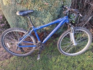 Diamond Back Ascent | eBay UK