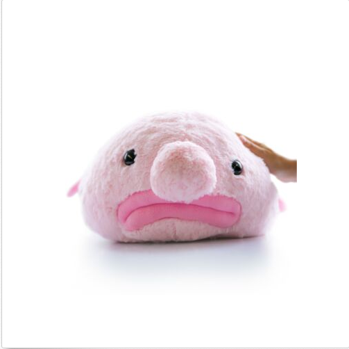 Hashtag Collectibles Stuffed Pink 
