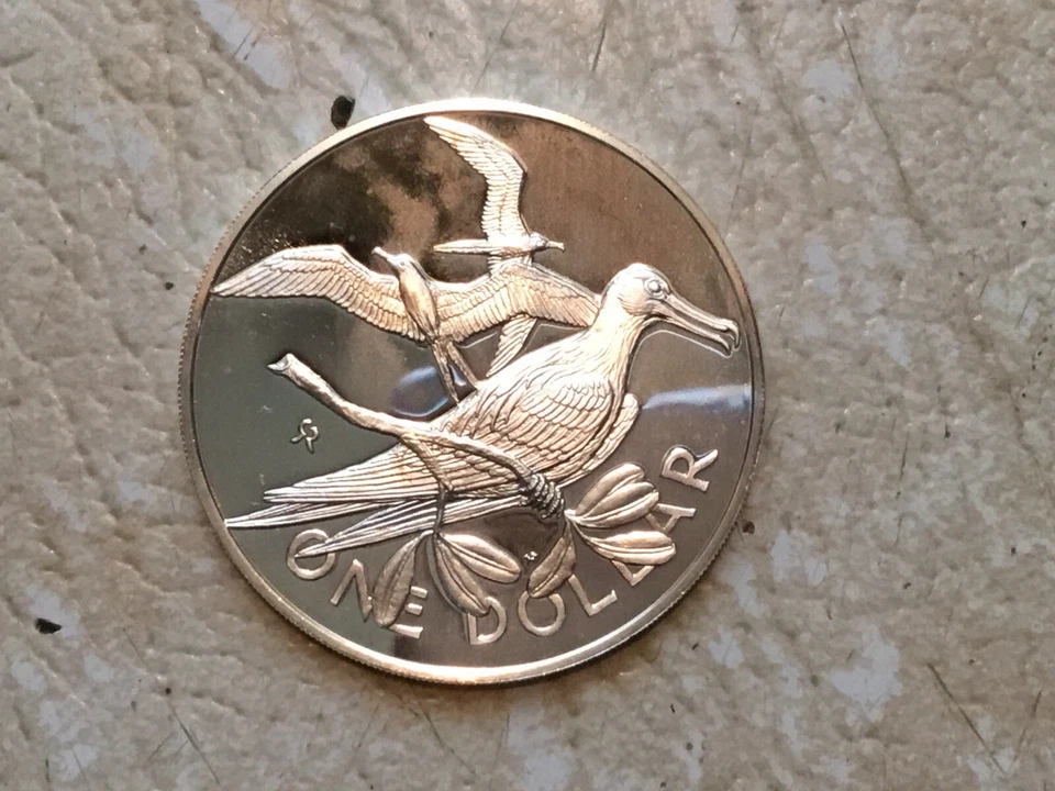 Moeda de prata 1973 Ilhas Virgens Britânicas Rainha Elizabeth II BIRD prova $1 moeda - Imagem 3 de 3