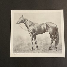 ORBY Horse Racing 1907 EPSOM DERBY  IRISH DERBY