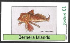 Bernera Islands Scotland, 1983, Fish, Red Gurnard, MNH Imperf M/S Sheet #M1960