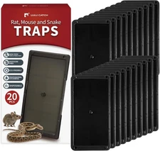 LULUCATCH Super Glue Traps 20 Pack for Mice & Snakes, Larger, 20 Pack, Black 