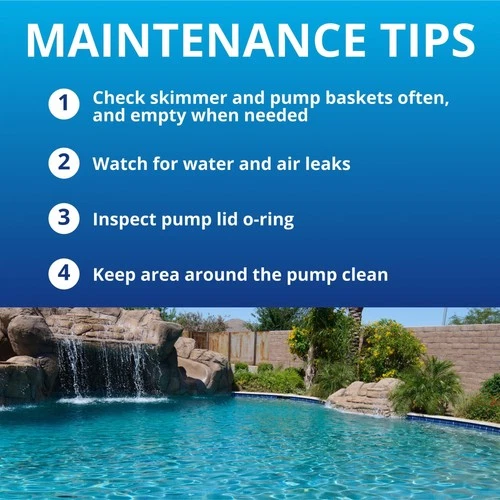 Pentair EC-011533 WhisperFlo VS Variable Speed Pool Pump, 2.6 THP