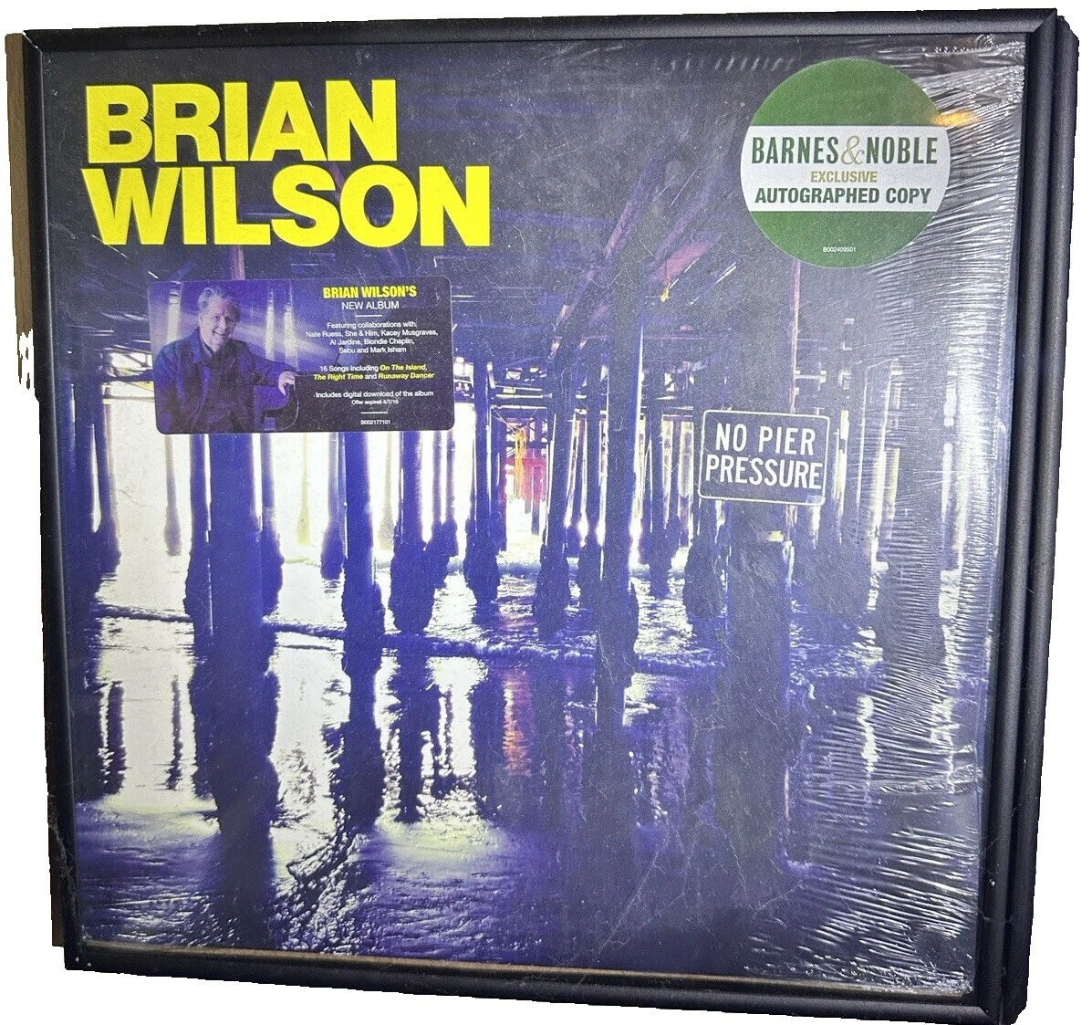 Brian Wilson Vinyl Records