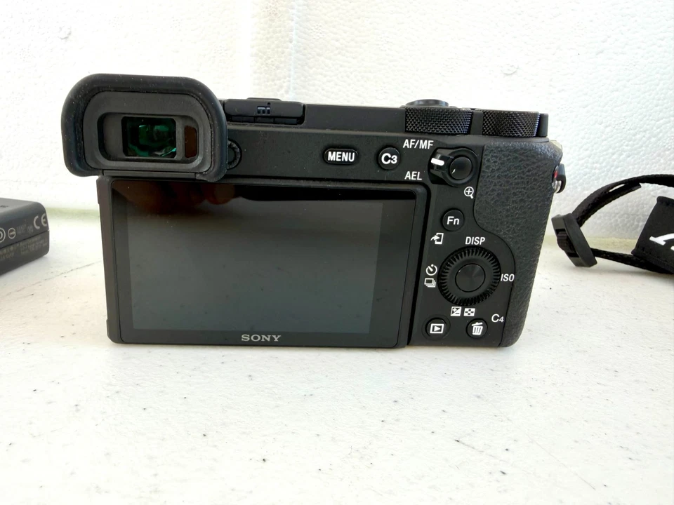 Sony Alpha 6600, foto 2 di 5