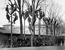 Vocational training SATC University Michigan Ann Arbor Students sho- Old Photo