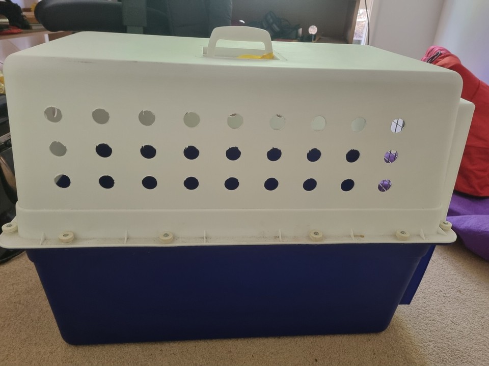 K29 Medium Pet Travel Crate eBay