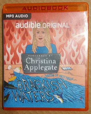 Brackish Waters by Matt Boren (1 MP3-CD Unabridged Audiobook)
