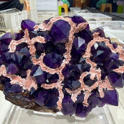 30LB Rare Natural Amethyst Cluster Crystal Volcanic mud Quartz mineral+stand
