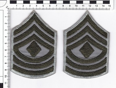 U.S. MARINE CORP INSIGNIA: Female FIRST SERGEANT, Green on Grey GREY