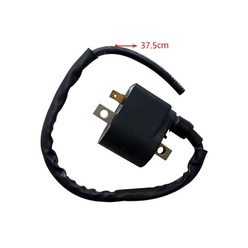Bobina de encendido cuádruple para Suzuki AX100 50-250CC ATV motor chino moto de cross Foto 2 de 4