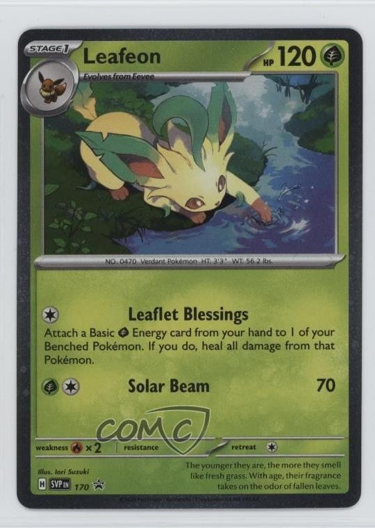 Leafeon Pokémon Scarlet & Violet Black Star Promo #170