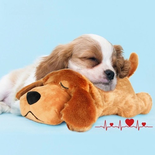 Snuggle Puppy Heartbeat Toy with Heat Pack