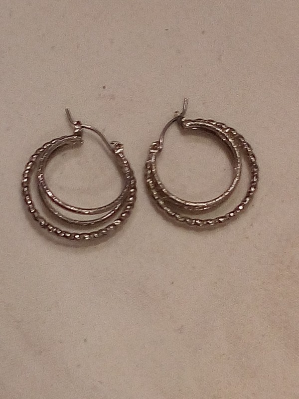 Small Lightweight Silver Tone Double Hoop Earring Summer Cool Tone