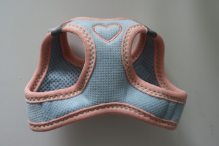 Hundegeschirr Brustgeschirr AniOne Pepe&Kitty blau XXXXS 24 28 cm