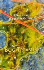 Bog Treasure by Eileen Casey (English) Paperback Book