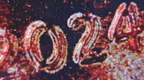 2024 P BU Lincoln Shield Penny DDO Doble Troquel Anverso FECHA Variedad Sin Circular