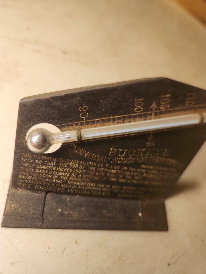 Antique BUCKEYE INCUBATOR THERMOMETER Chicken Egg Springfield Ohio Farm