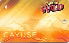 Wildhorse Casino - Pendleton, OR - 6th Issue Slot Card (BLANK)