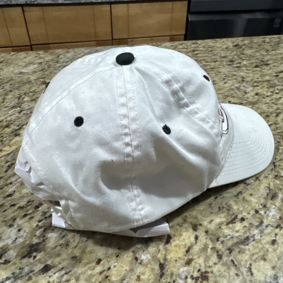 Dale Earnhardt Blanco SnapBack Chase Auténtico Sombrero De Colección #3 Usado Cpix Foto 4 de 4