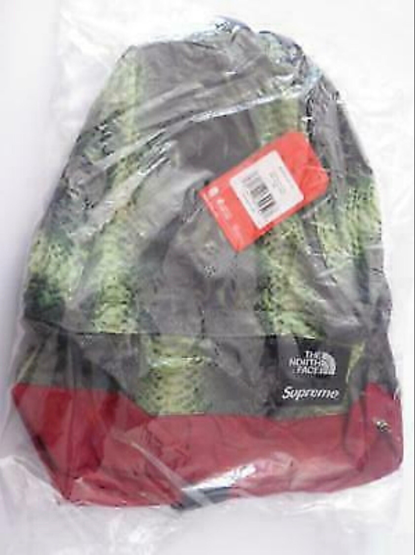 Supreme X The North Face Green Snakeskin Backpack SS18 | New Condition image 2