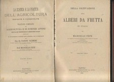 DELLA COLTIVAZIONE DI ALBERI DA FRUTTA IN ITALIA Marcello Pepe 1886 Libro Antico