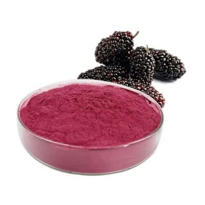 Mulberry Powder - Morus alba