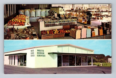 #ad #ad Bradenton FL Florida White Heron Groves Antique Vintage Souvenir Postcard $0.99