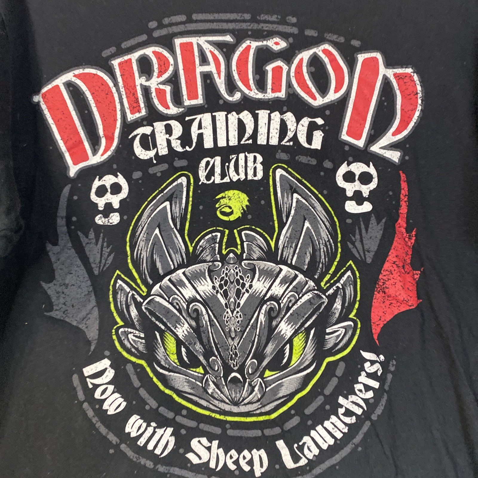 Universal Studios Black Dragon Training Club ‘Now… - image 3