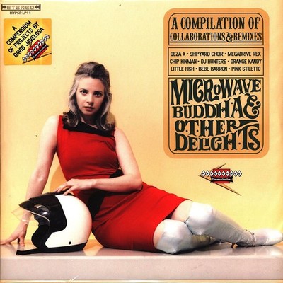 V.A. - Microwave Buddha And Other Delights (Vinyl LP - 2025 - US - Original)