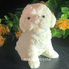 2.6''+ Top Natural Genuine Tagua Nut Hand Carved Dog Reiki Decoration Gift.1Pc