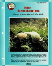 Schneckenplage im Aquarium / Aquariuminfokarte