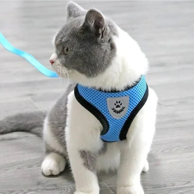 Dog Harness Cat Harness No Pull Comfort Padded Vest with Leash Size M
