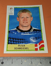 2000 Peter Schmeichel Euro European Championship Denmark Panini UEFA Sticker Decal