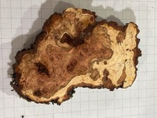 T624 Cherry Burl Live Edge Raw Tree Slice Cookie Birds Eye 15x9x1.25