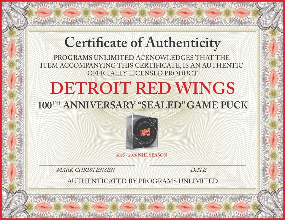 2025 2026 DETROIT RED WINGS 100º ANIVERSÁRIO JOGO DISCO EM CUBOS NHL PATCH N STORE - Imagem 4 de 4