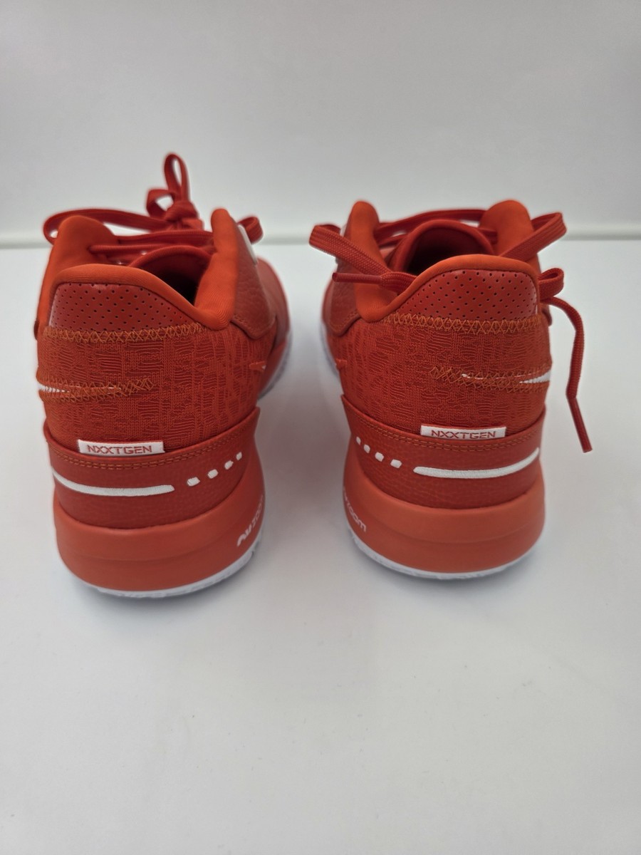 Men's 10.5 Nike Zoom LeBron NXXT Gen TB Basketball Shoes Team